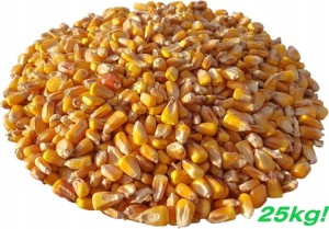 KUKURYDZA ZIARNO 25KG żółta MDM oczyszczona dla kur gołębi zanęta królików