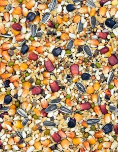 LSE LOTOWA SUPER ENERGY NISKOBIAŁKOWA 25KG MDM karma dla gołębi le