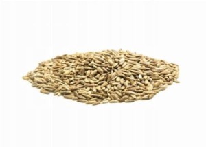 MDM Polska Ostropest plamisty paszowy 20kg dla gołębi karma