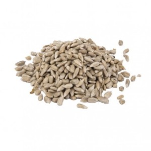 Słonecznik łuskany Piekarniczy 25 kg dla ptaków gołębi PREMIUM