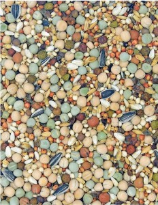 MDM Polska BKs Bez pszenicy i kukurydzy standard 25kg karma dla gołębi