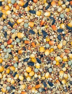 Karma pierzeniowa MDM P 25 kg dla gołębi PROMOCJA king !!