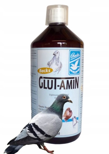 Glut-Amin-1000ml-Backs-dla-golebi-aminokwasy-GLUT-AMIN-1L-RUMI-ROL-Kod-producenta-Glut-Amin-1000ml.jpg