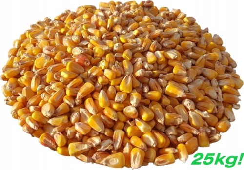 KUKURYDZA-ZIARNO-25KG-zolta-MDM-oczyszczona-dla-kur-golebi-zaneta-krolikow.jpg