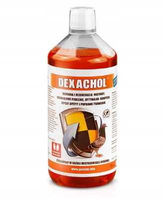 DEXACHOL-ochrona-i-regeneracja-watroby-dla-golebi-Patron-1000ml-1L-Marka-Patron.jpg