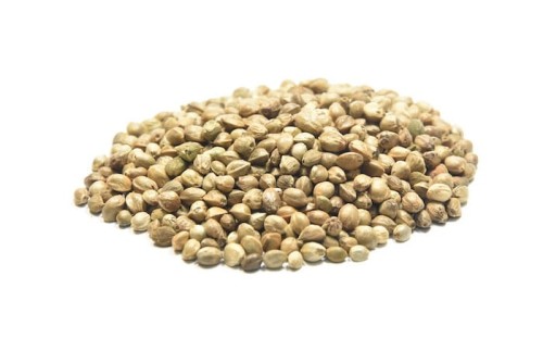 Konopie-MDM-Polska-20kg-worek-dla-golebi-ptakow-zaneta-ziarno-PREMIUM (1).jpg