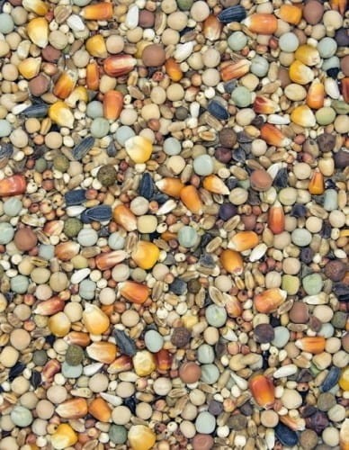 Karma-dla-golebi-Rozplodowa-R-MDM-25kg (1).jpg